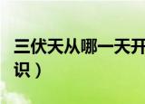 三伏天从哪一天开始算起呢（三伏天的相关知识）