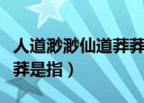 人道渺渺仙道莽莽什么意思（人道渺渺仙道莽莽是指）