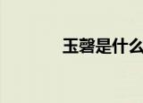 玉磬是什么意思（玉磬解释）