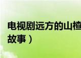 电视剧远方的山楂树剧情介绍（讲述的是什么故事）