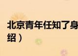 北京青年任知了身世（北京青年任知了简单介绍）