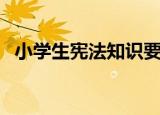 小学生宪法知识要点（小学生宪法的内容）