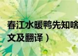 春江水暖鸭先知啥意思（春江水暖鸭先知的原文及翻译）