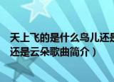 天上飞的是什么鸟儿还是云朵什么歌（天上飞的是什么鸟儿还是云朵歌曲简介）