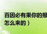 百因必有果你的报应就是我什么意思（这句话怎么来的）