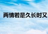 两情若是久长时又岂在朝朝暮暮的意思作者