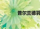 普尔兰德羽绒服（普尔兰德）