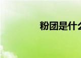 粉团是什么平台（粉团网）