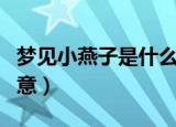 梦见小燕子是什么意思（梦见小燕子是什么寓意）
