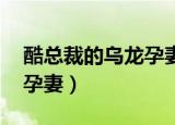 酷总裁的乌龙孕妻 司马青衫（酷总裁的乌龙孕妻）