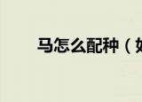 马怎么配种（如何让马更好地繁殖）