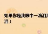 如果你是我眼中一滴泪我永远不会哭（如果你是我眼中一滴泪）