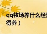 qq牧场养什么经验最多（有哪些高阶动物值得养）