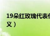 19朵红玫瑰代表什么（19朵红玫瑰代表的含义）