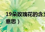 19朵玫瑰花的含义（19朵玫瑰花的代表什么意思）