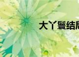 大丫鬟结局（大丫鬟简介）