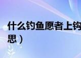 什么钓鱼愿者上钩（姜太公钓鱼愿者上钩的意思）