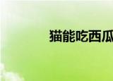 猫能吃西瓜吗（猫能吃西瓜）