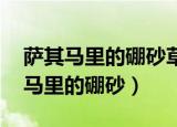 萨其马里的硼砂草莽英雄,是什么意思（萨其马里的硼砂）