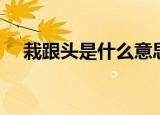 栽跟头是什么意思（栽跟头意思是什么）