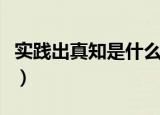 实践出真知是什么意思啊（实践出真知的意思）