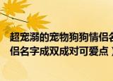 超宠溺的宠物狗狗情侣名字成双成对（超宠溺的宠物狗狗情侣名字成双成对可爱点）