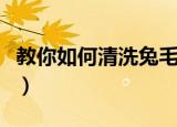 教你如何清洗兔毛皮草（清洗兔毛皮草的方法）