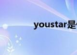 youstar是什么（youstars）
