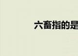 六畜指的是什么（六畜介绍）