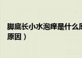 脚底长小水泡痒是什么原因引起的（脚底长小水泡痒是什么原因）