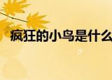 疯狂的小鸟是什么玩法（有什么玩的技巧）