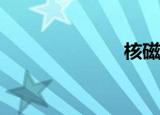 核磁共振是什么