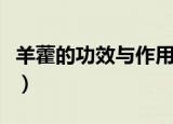 羊藿的功效与作用（羊藿的功效与作用是什么）