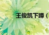 王俊凯下蹲（王俊凯蹲路障休息）