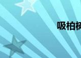 吸柏树汁很疯狂吗