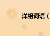 洋组词语（汉字洋怎么组词）