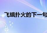 飞蛾扑火的下一句（飞蛾扑火是什么意思）