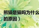 熊猫是猫吗为什么是国宝（把大熊猫视为国宝的原因）