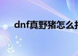 dnf真野猪怎么打（dnf真野猪怎么打）