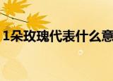1朵玫瑰代表什么意思（1朵玫瑰代表的意思）