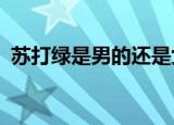 苏打绿是男的还是女的?（苏打绿是男是女）