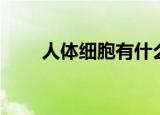 人体细胞有什么用（人体细胞介绍）