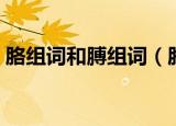 胳组词和膊组词（胳组词和膊组词怎么组词）