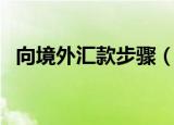 向境外汇款步骤（向境外汇款有什么方式）