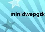 minidwepgtk手机版（minidwep）