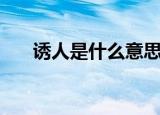 诱人是什么意思（词语诱人什么意思）