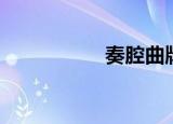 奏腔曲牌简谱（奏腔）