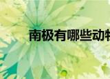 南极有哪些动物（盘点南极的动物）