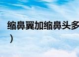 缩鼻翼加缩鼻头多少钱（缩鼻翼鼻头要多少钱）