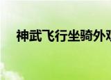 神武飞行坐骑外观排行（神武飞行坐骑）